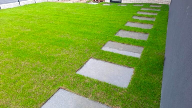 Aménagement complet de jardin