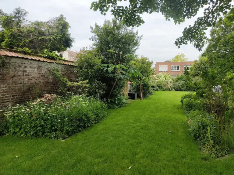 Allée engazonnée bordée de massifs dans un jardin mature
