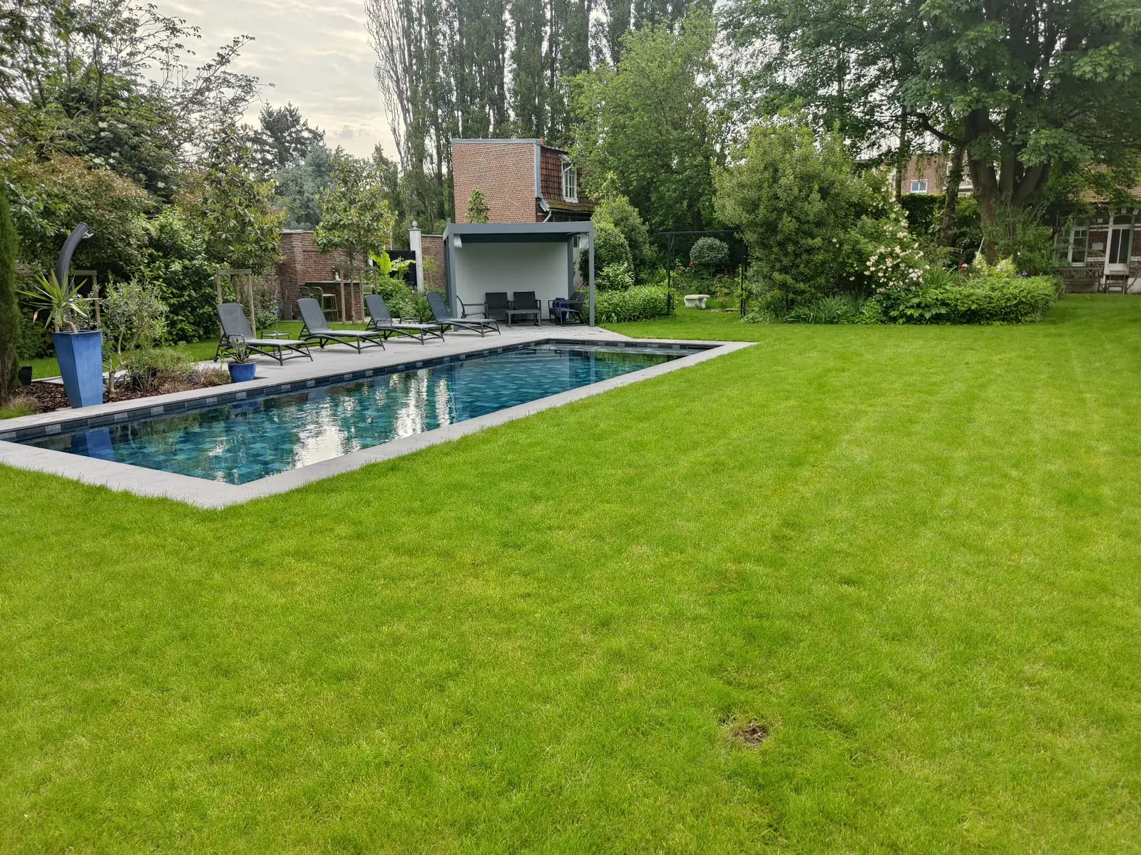 Grande pelouse paysagée autour d’une piscine